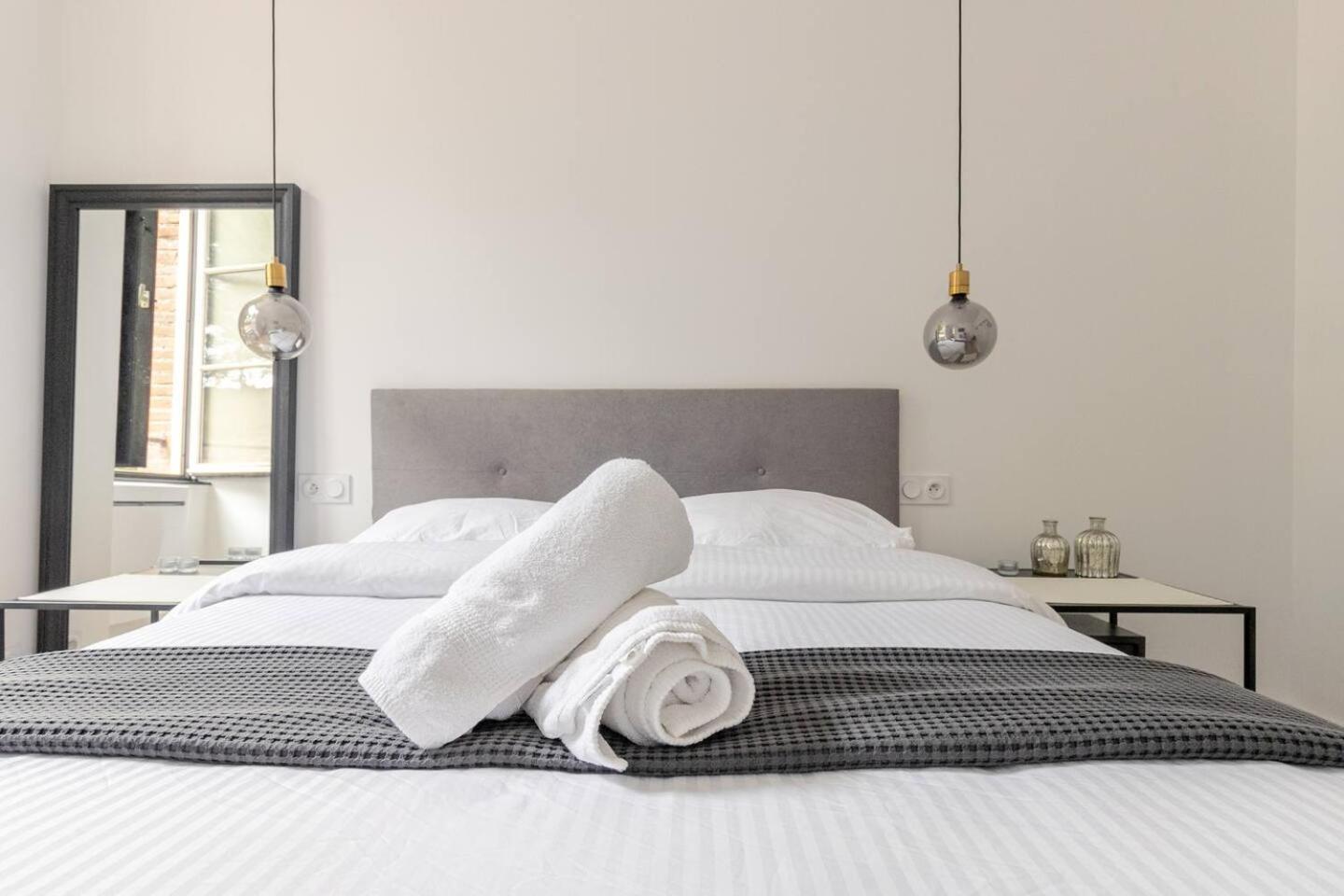 Appartement Albi Parking Gratuit Zewnętrze zdjęcie