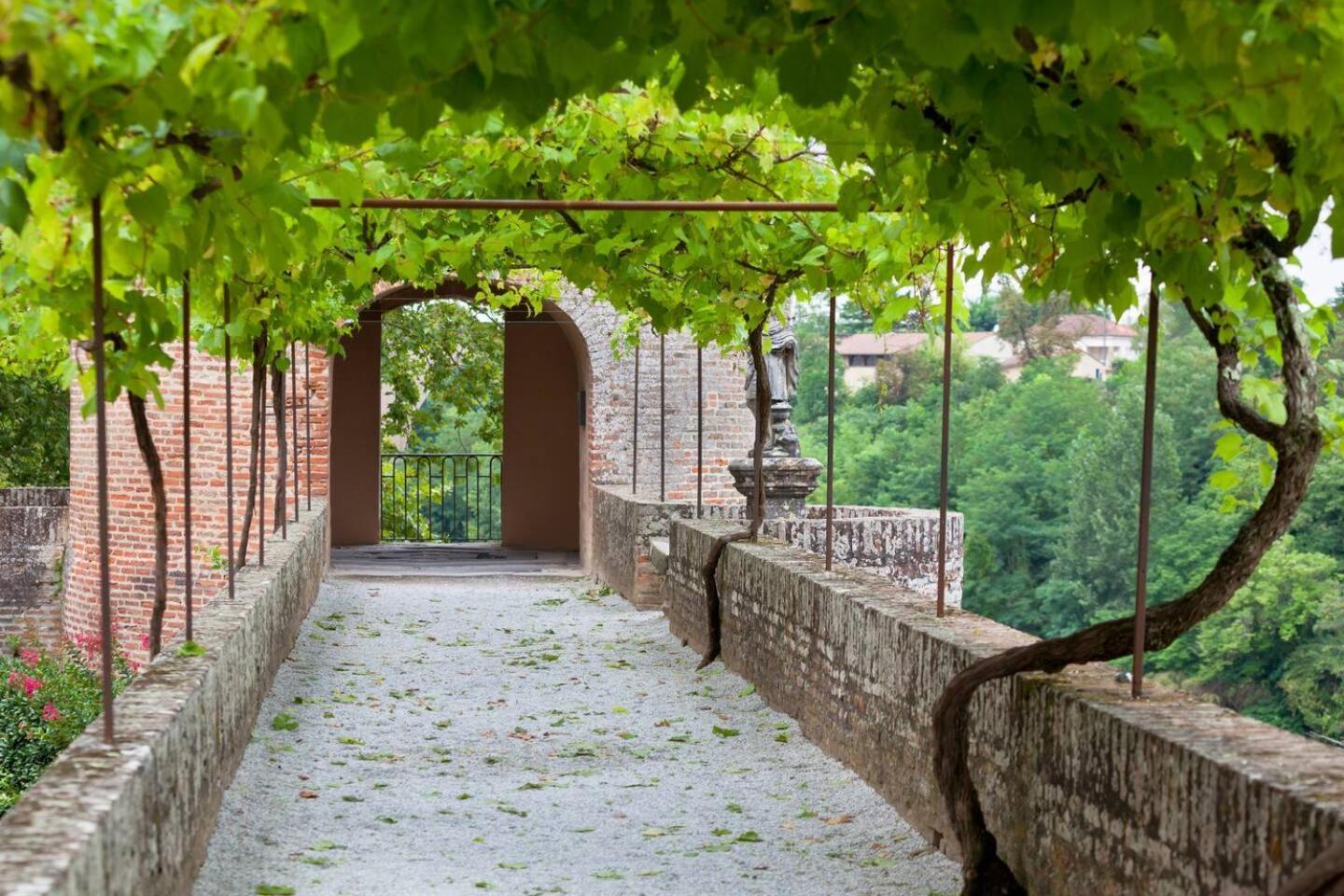 Appartement Albi Parking Gratuit Zewnętrze zdjęcie